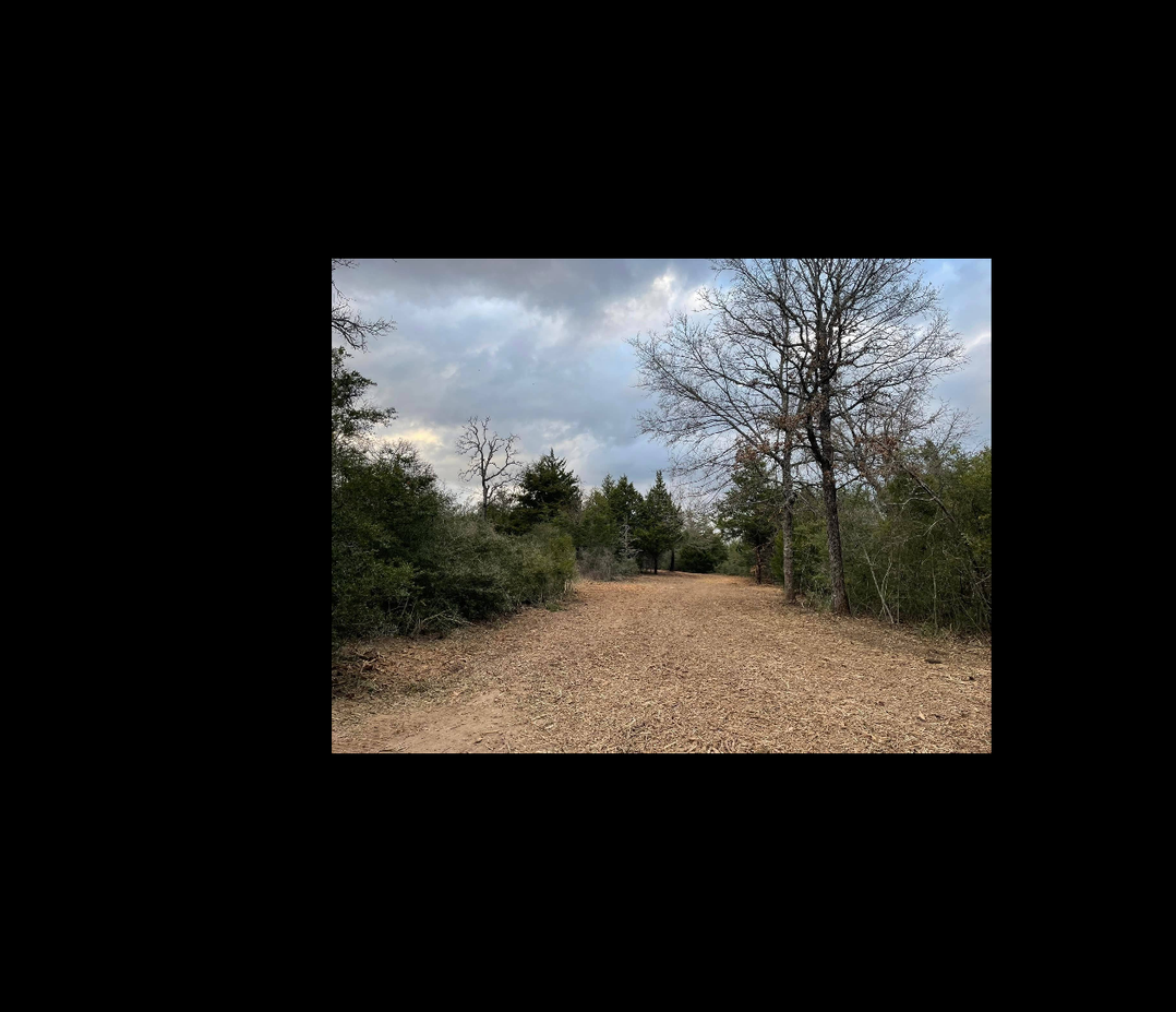 Cleared lane through wooded Texas property after land clearing work